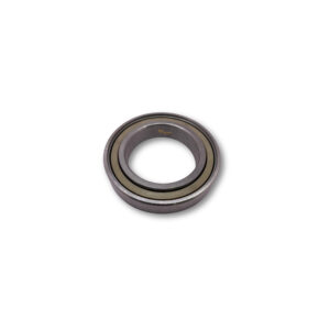 Filler Starwheel Bearing